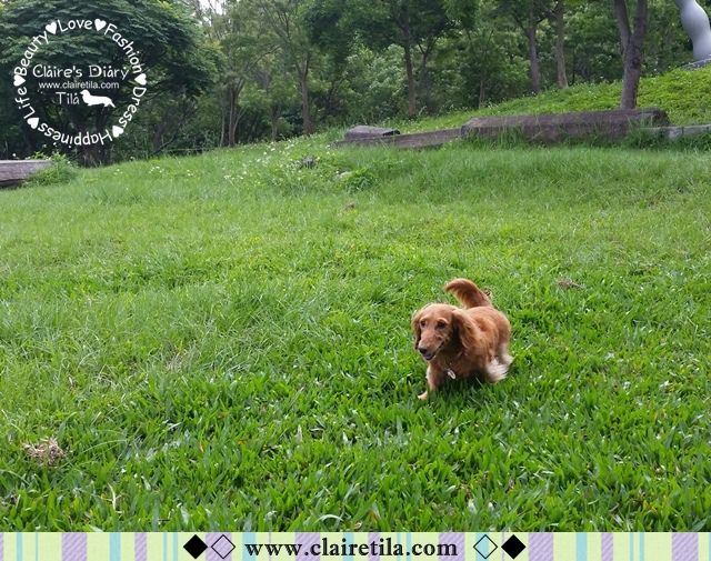 20251024-x5409 20251024-x5409