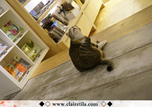 20251024-xzh3f 20251024-xzh3f