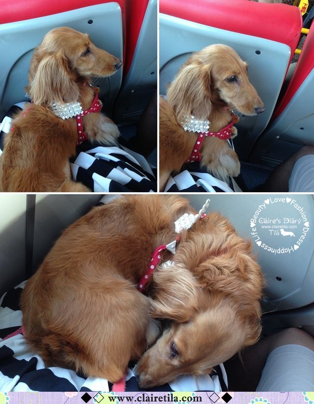 20251024-0dfqn 20251024-0dfqn