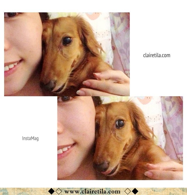 20251024-1ls0s 20251024-1ls0s