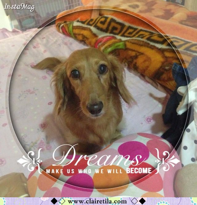 20251024-aqfso 20251024-aqfso