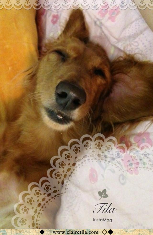 20251024-beuh2 20251024-beuh2