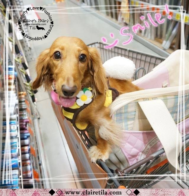 20251024-e9q05 20251024-e9q05