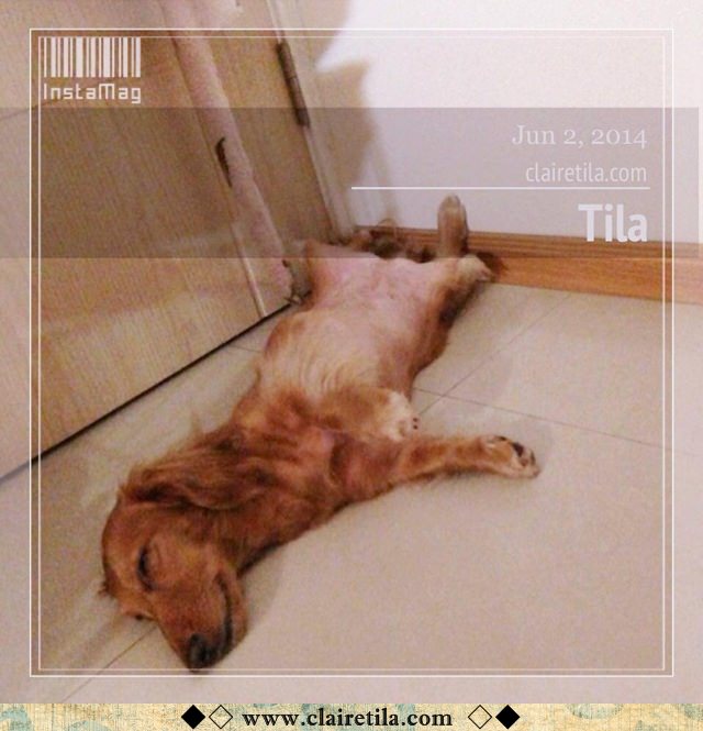 20251024-enbh3 20251024-enbh3