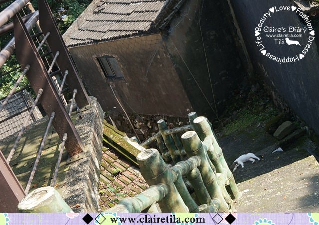 20251024-eyekx 20251024-eyekx