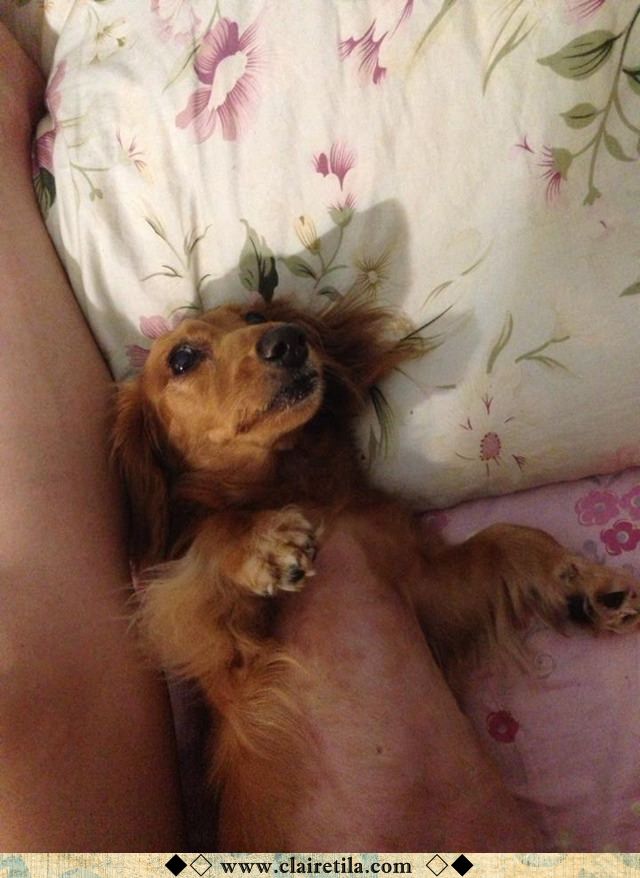 20251024-fgr4a 20251024-fgr4a