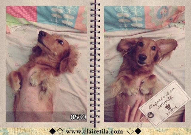 20251024-kvozo 20251024-kvozo