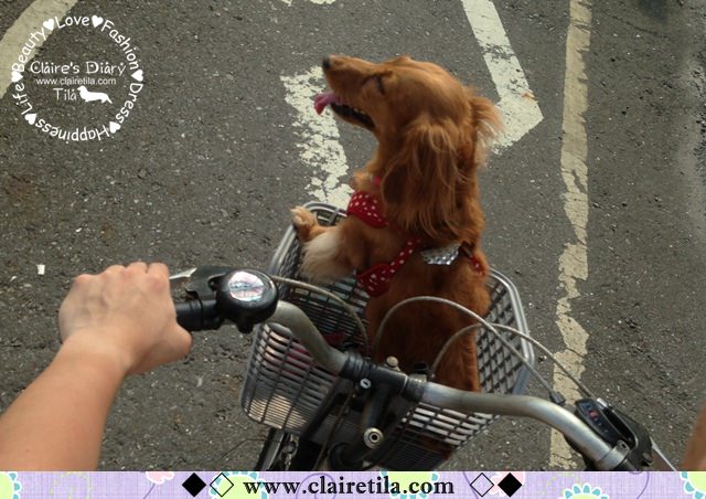 20251024-l6bbd 20251024-l6bbd