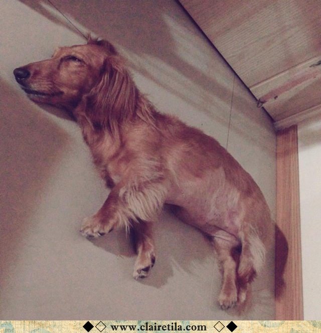 20251024-o7con 20251024-o7con