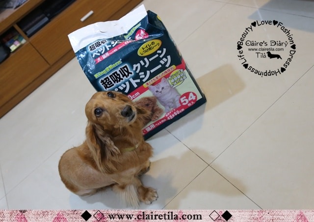 20251024-oxle2 20251024-oxle2