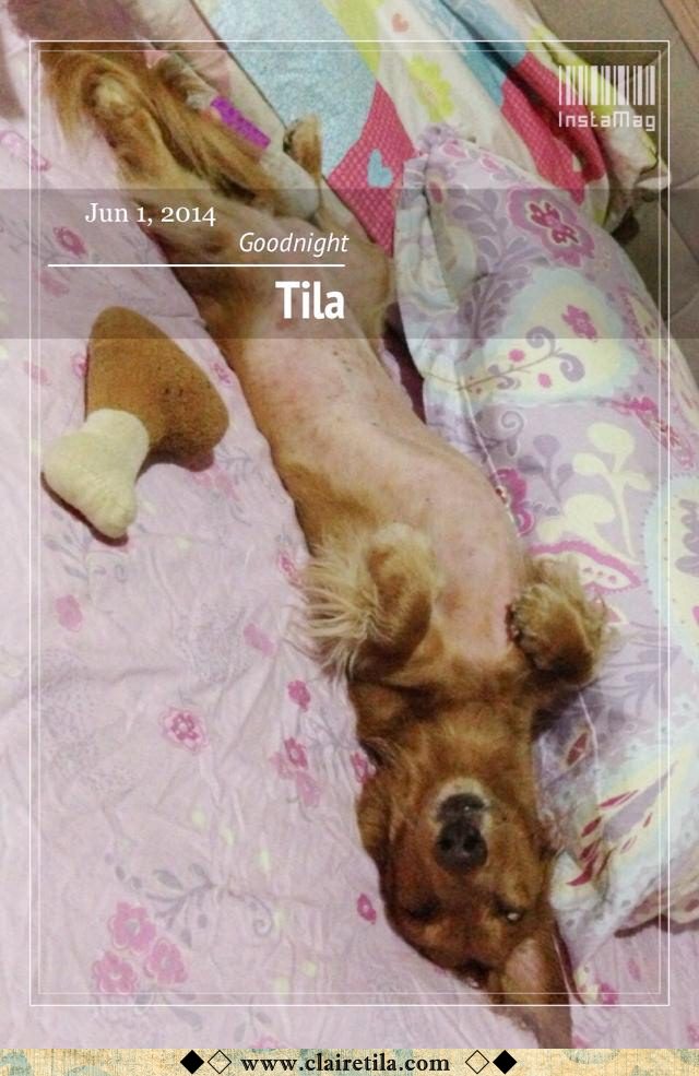 20251024-r7aq3 20251024-r7aq3