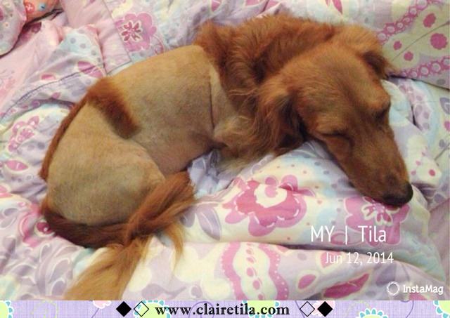 20251024-r96df 20251024-r96df