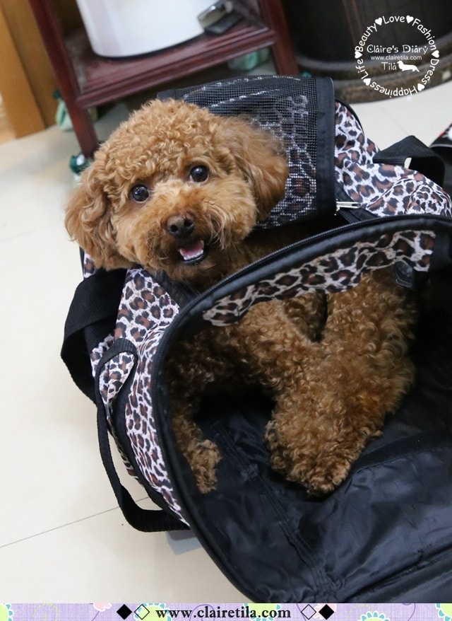 20251024-sotwx 20251024-sotwx