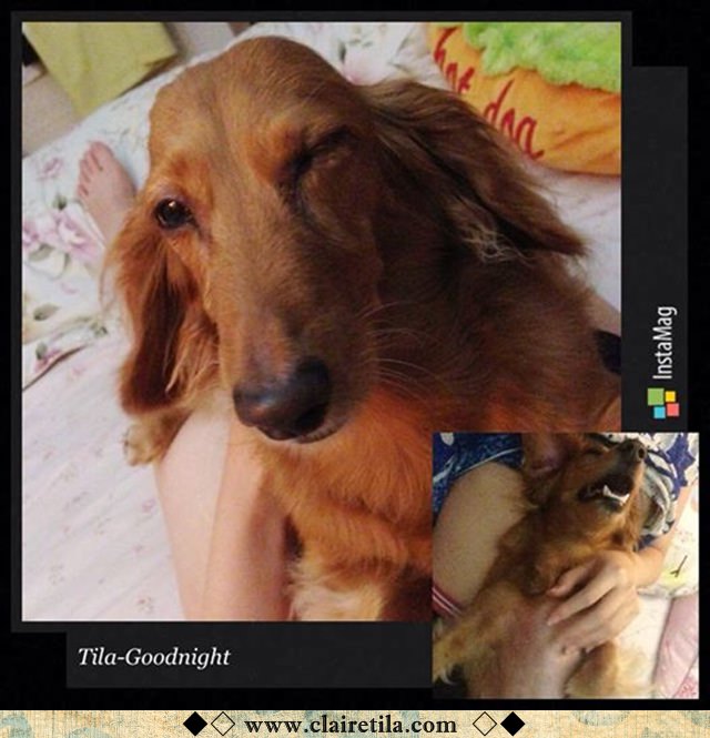 20251024-suiog 20251024-suiog