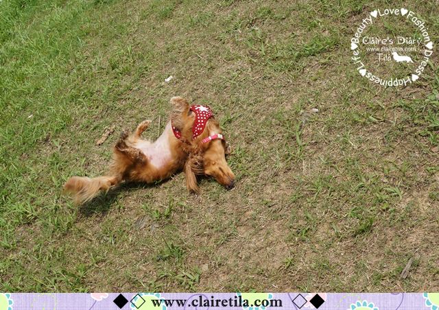 20251024-t7o7o 20251024-t7o7o