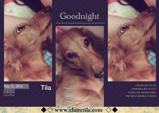 20251024-tunr1 20251024-tunr1