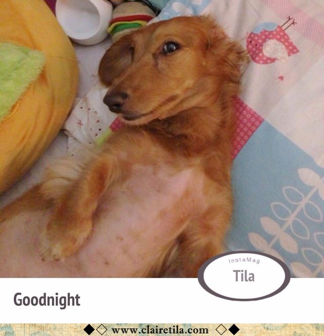 20251024-uk43e 20251024-uk43e