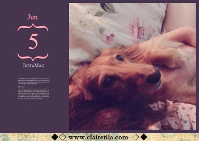 20251024-v20c7 20251024-v20c7