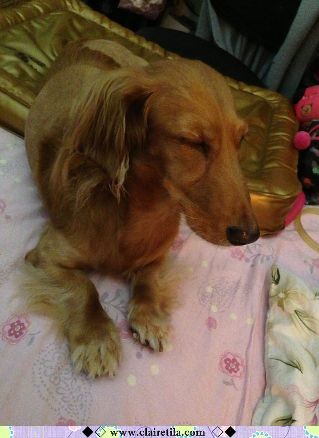 20251024-0be77 20251024-0be77