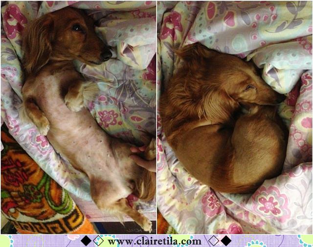 20251024-a9gcl 20251024-a9gcl