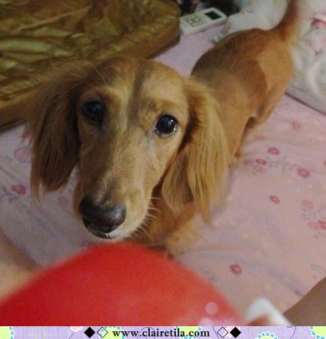 20251024-khwz2 20251024-khwz2