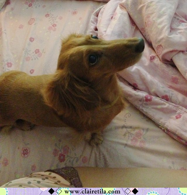 20251024-m41mk 20251024-m41mk