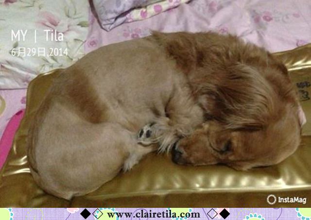 20251024-strnq 20251024-strnq