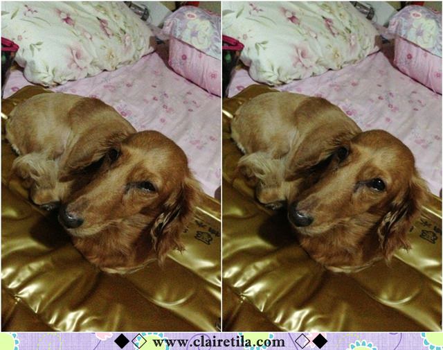 20251024-uc1rq 20251024-uc1rq