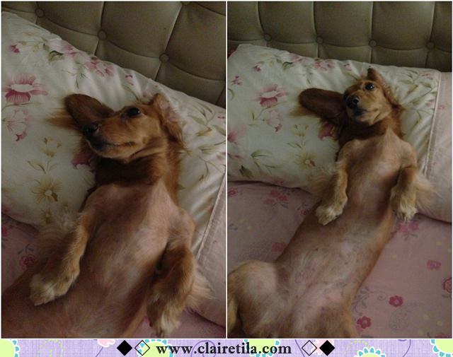 20251024-zef0c 20251024-zef0c