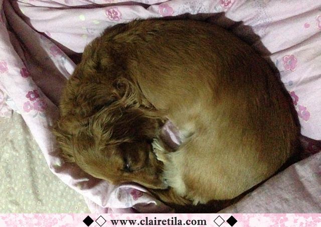 20251024-0svbx 20251024-0svbx