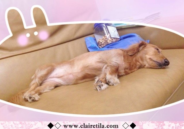 20251024-1eid5 20251024-1eid5