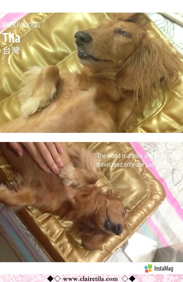 20251024-2ev60 20251024-2ev60