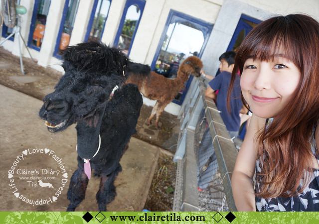 20251024-44ksx 20251024-44ksx