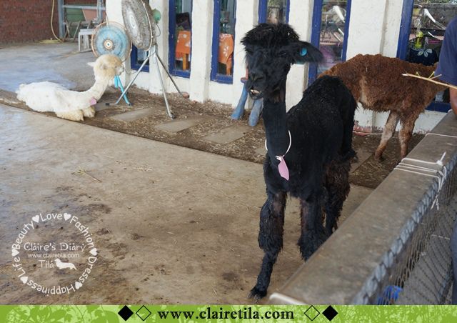 20251024-635io 20251024-635io