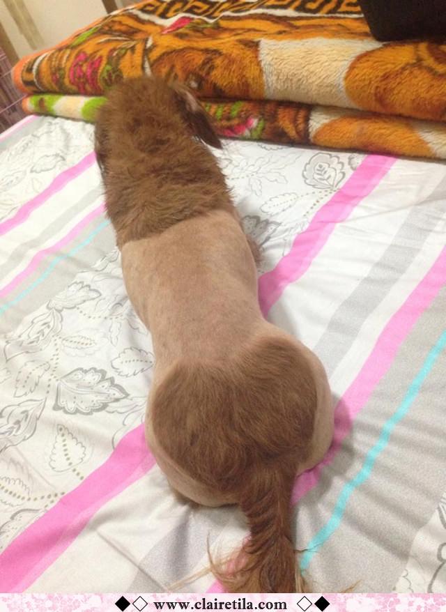 20251024-66rxu 20251024-66rxu