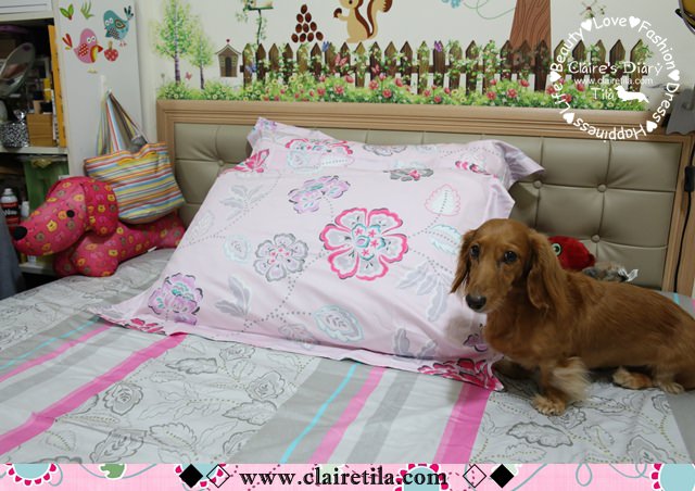 20251024-80mqe 20251024-80mqe