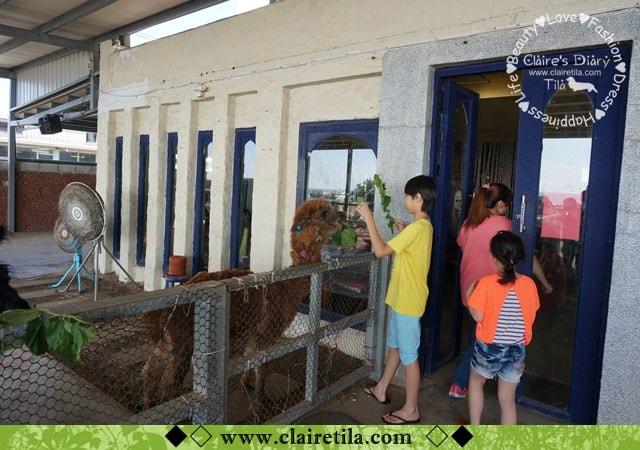 20251024-9l46m 20251024-9l46m