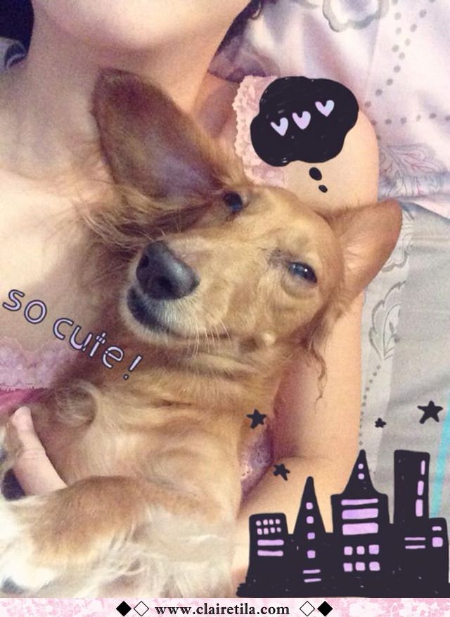 20251024-dh0j4 20251024-dh0j4