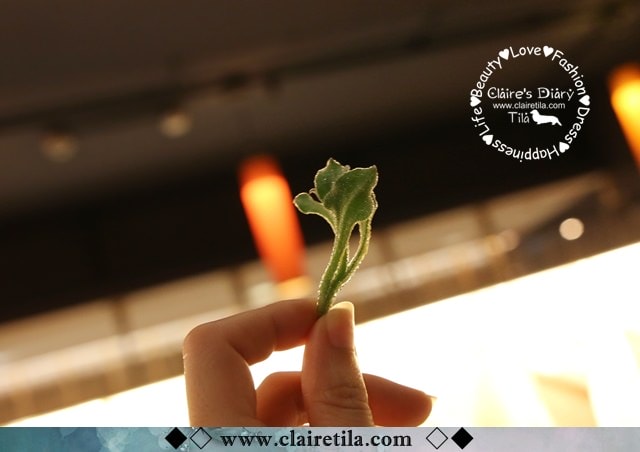 20251024-doa7w 20251024-doa7w