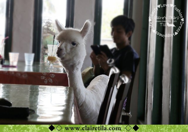 20251024-dzca3 20251024-dzca3