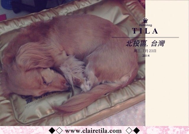 20251024-ec7xp 20251024-ec7xp