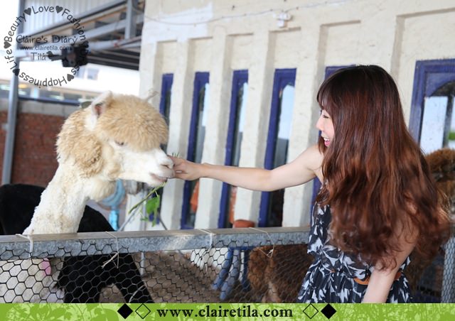 20251024-eutqk 20251024-eutqk