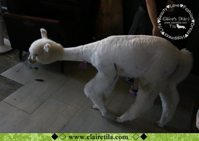 20251024-eymbc 20251024-eymbc