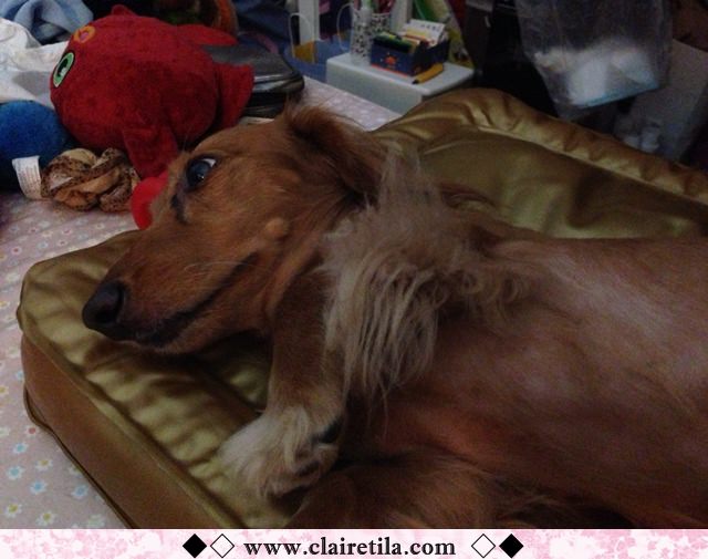 20251024-fbub8 20251024-fbub8