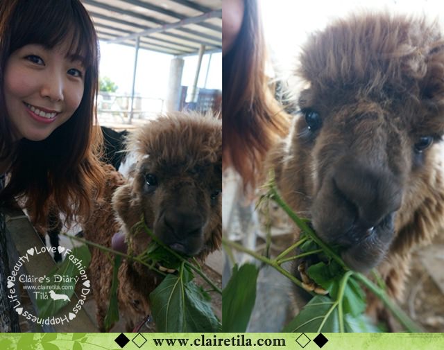 20251024-fnnln 20251024-fnnln