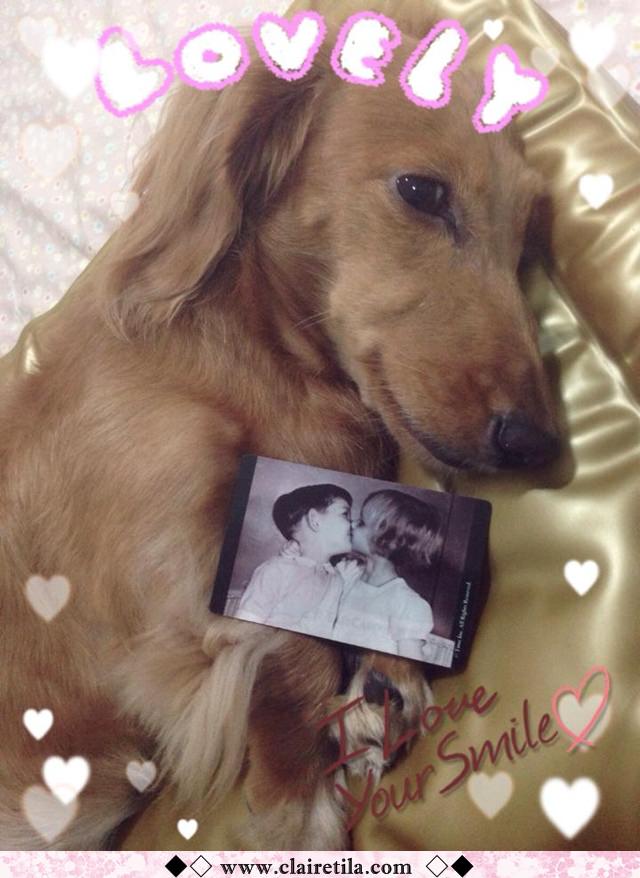 20251024-ijkld 20251024-ijkld