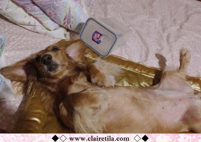 20251024-kaf3f 20251024-kaf3f