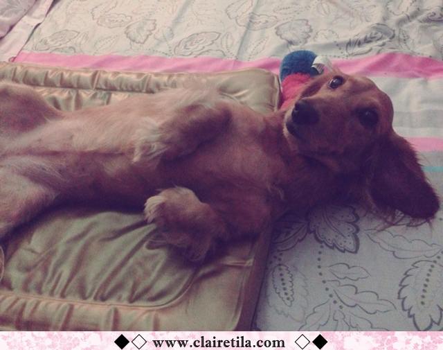 20251024-ks15u 20251024-ks15u