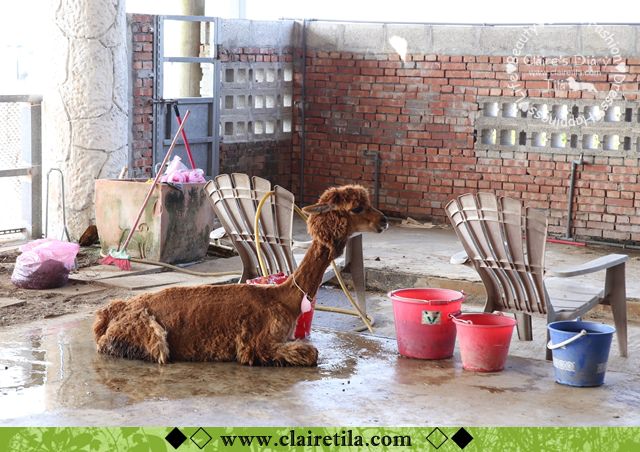 20251024-nz6gv 20251024-nz6gv