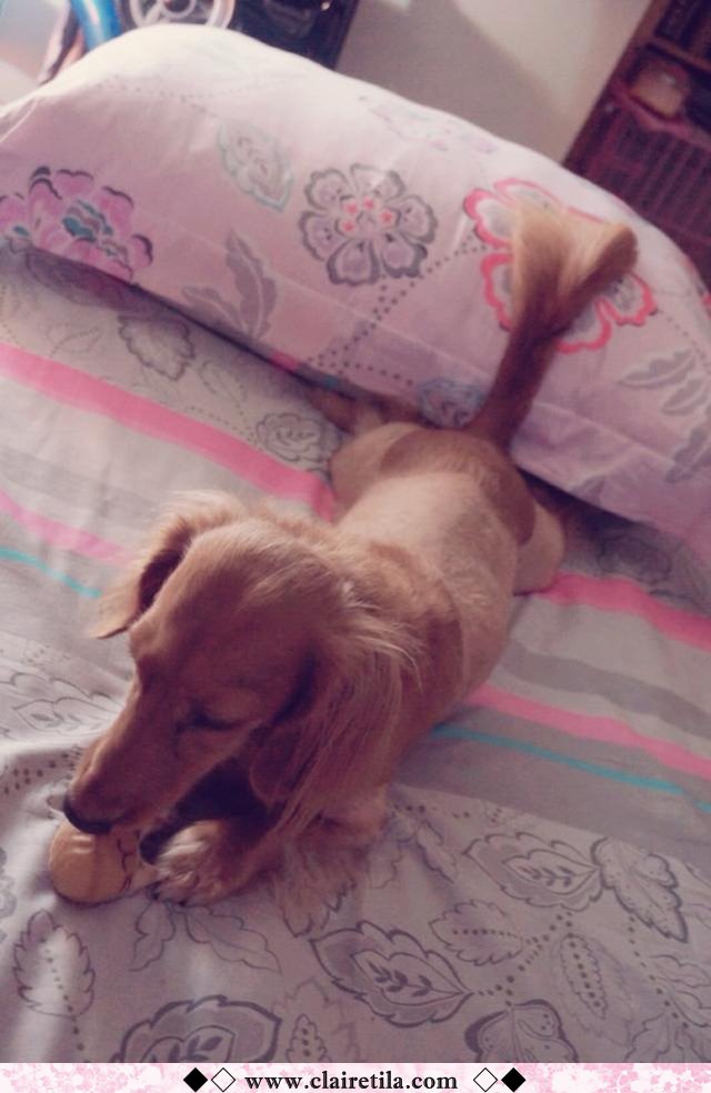 20251024-o51qs 20251024-o51qs